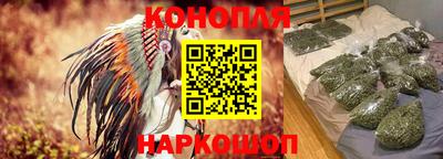 шишки Канаш