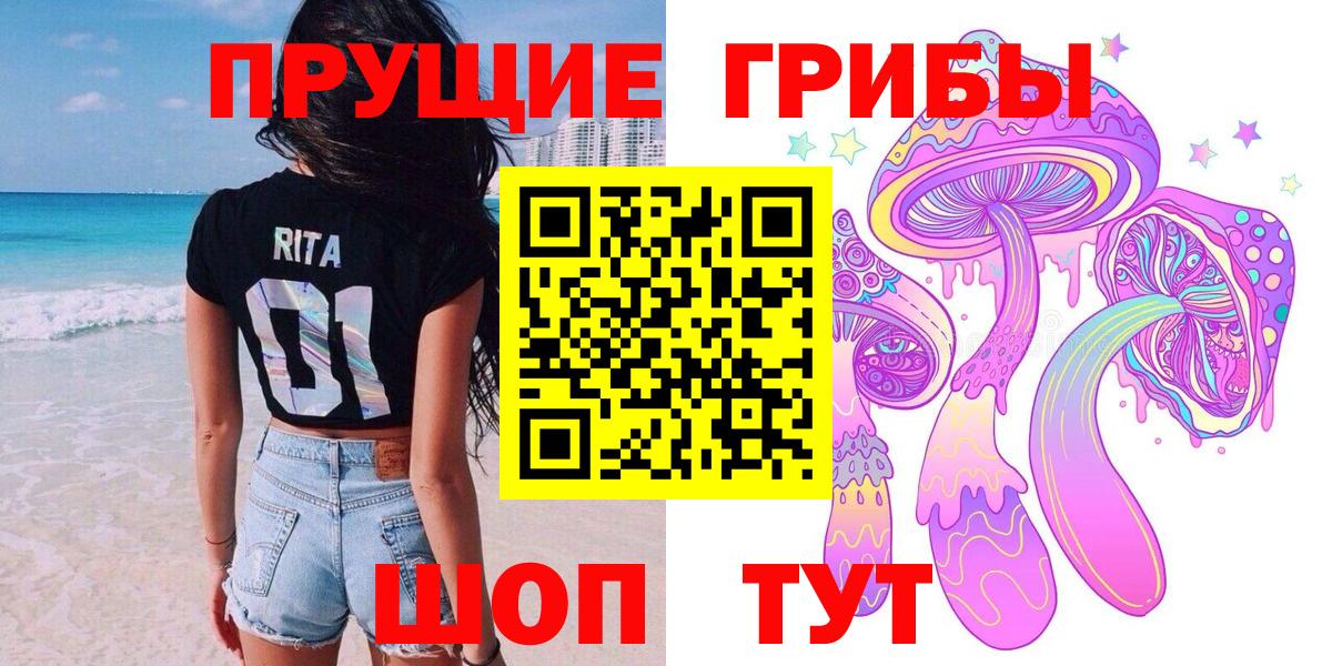 Краснокаменск  Галлюциногенные грибы Psilocybe  Вход с VPN 